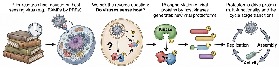 Virus as biosensors _v3_smaller.png