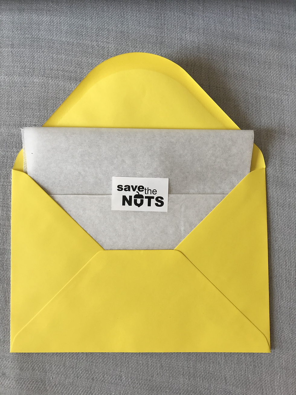 Miniatura: Patch Termoadesive 4 pz 15x20cm