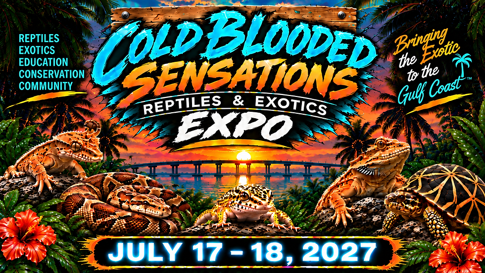 CBS Sarasota Reptile & Exotic Expo