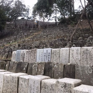 振り向けば世界遺産