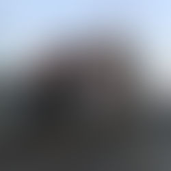 振り向けば世界遺産Ⅱ