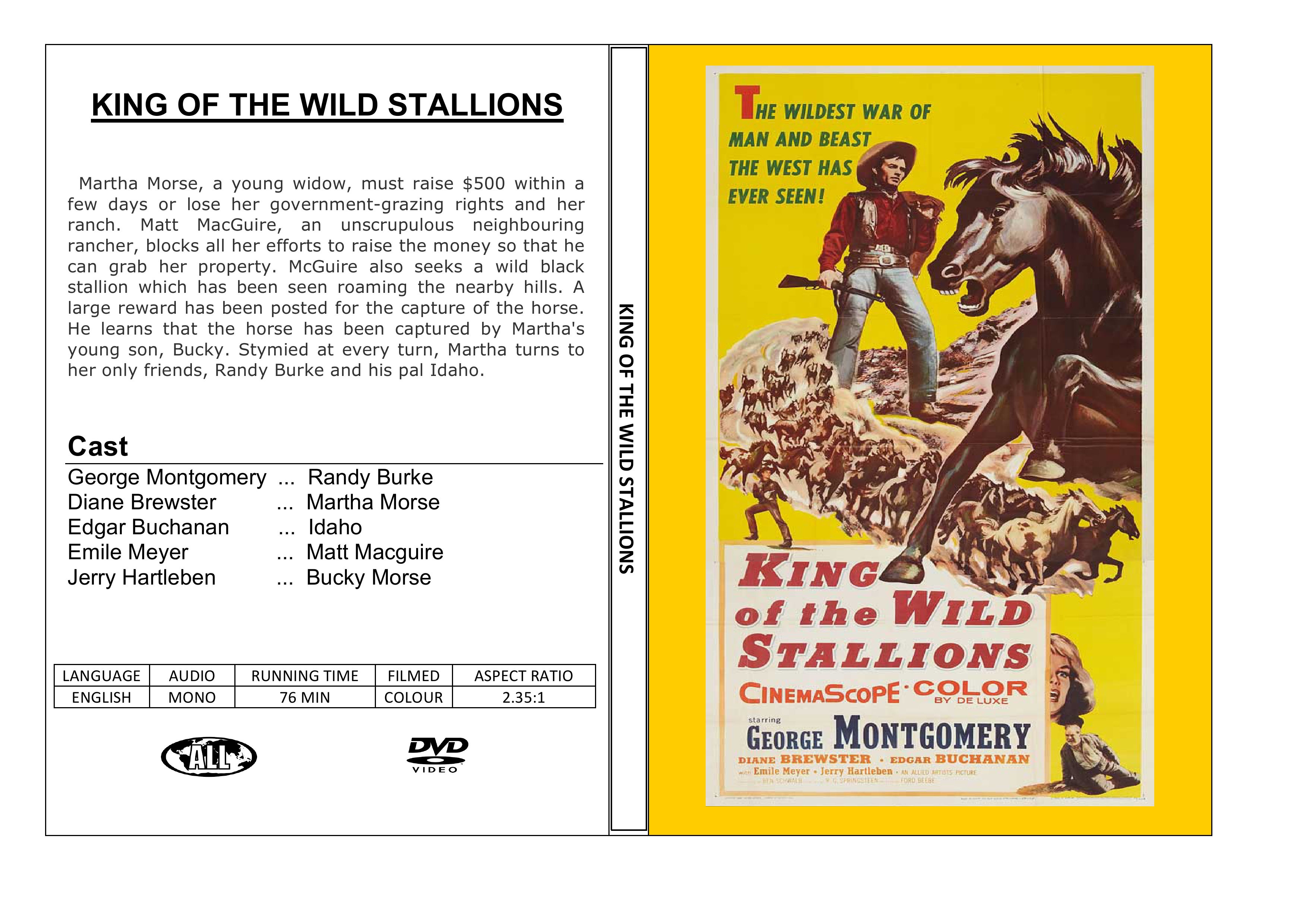 KING OF THE WILD STALLION