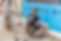 Blaxland-60-WEB.jpg