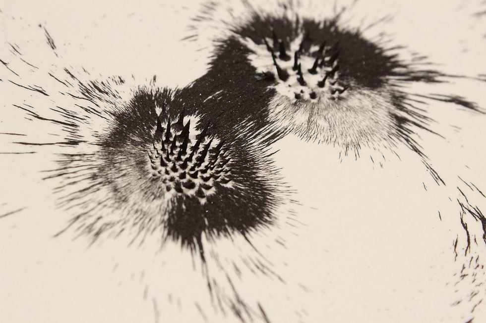 The Between Sarah McNutt