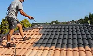 roof-painting.jpg