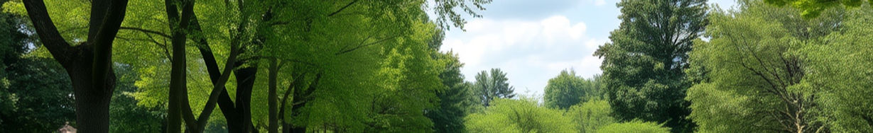 create a strip background of a lush outdoor park .jpg
