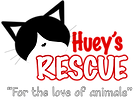 Hueyslogo-website.png