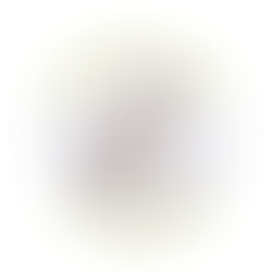 What Makes a Great CDO? 5 Core Competencies for a Chief Diversity Officer