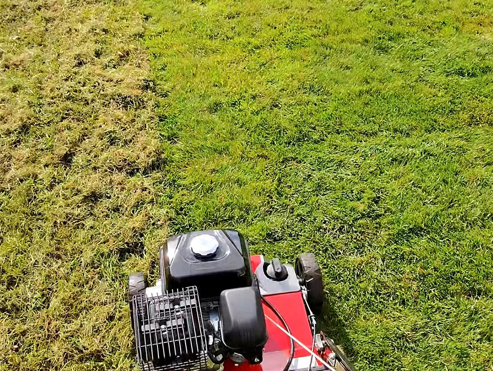 Professional gardener scarifing a lawn in Bedale