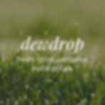 dewdrop fragrance notes consisting of fresh mint, verbena, + eucalyptus.