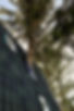CASTANYER_EDITADES_-19-min_edited.jpg