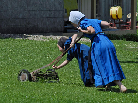 Using Robotic Mowers for your Lawn Care Business. Is It Worth It? 
