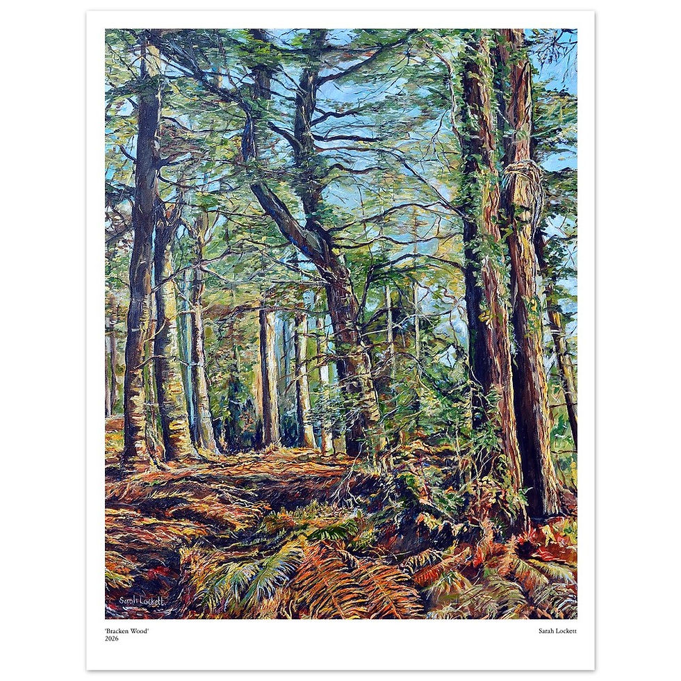 Thumbnail: ‘Bracken Wood’ by Sarah Lockett