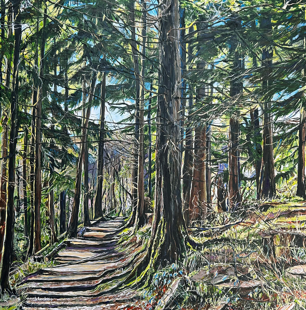 Light Through The Trees by Sarah Lockett.jpg