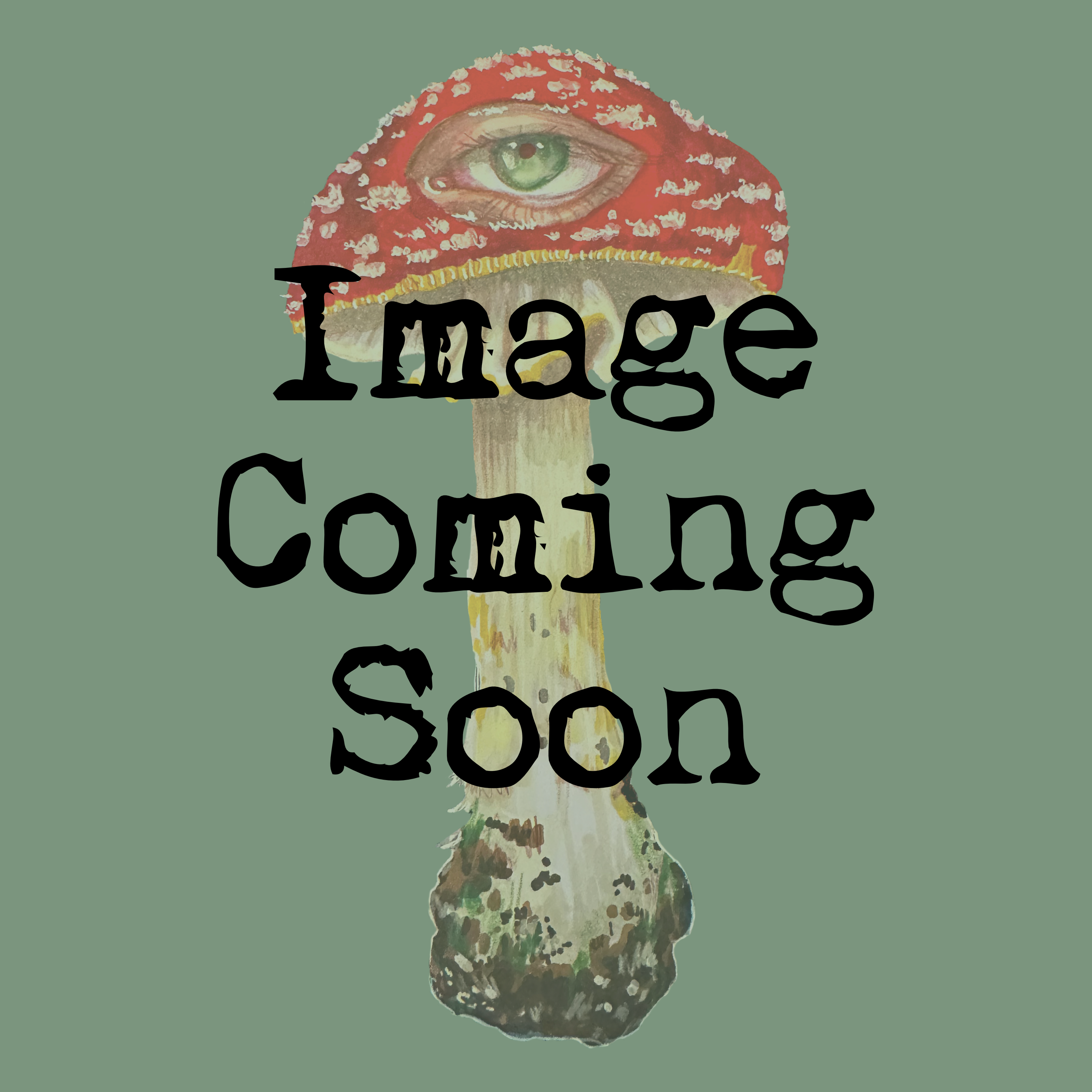 Moss and Mycelium Ritual Resin 30g