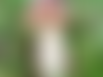 Exploring Energies: The Magick of Mushrooms