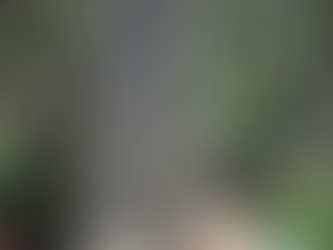 The Fighting Fairy Woman of Bodmin