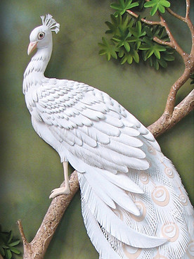 6 White Mayur_edited.jpg