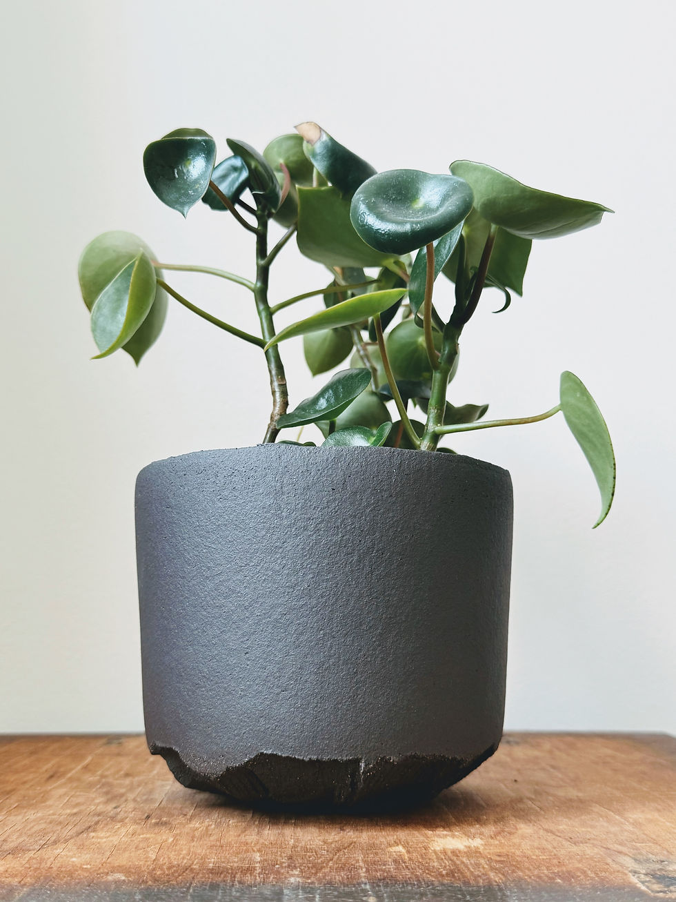 Miniatura: Květník z kolekce Wabi - Sabi