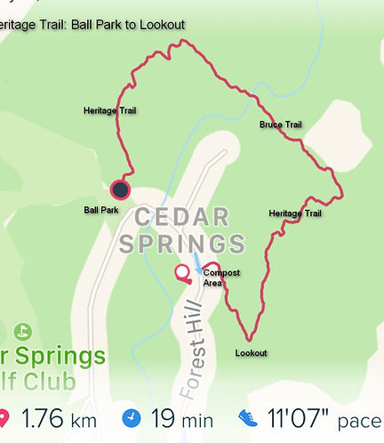 Ballpark to Lookout.jpeg