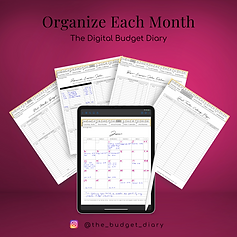 The Digital Budget Diary (4).png