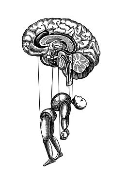 Brain controling body.jpeg