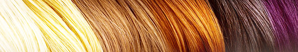 Hair of Many Colors_edited.jpg