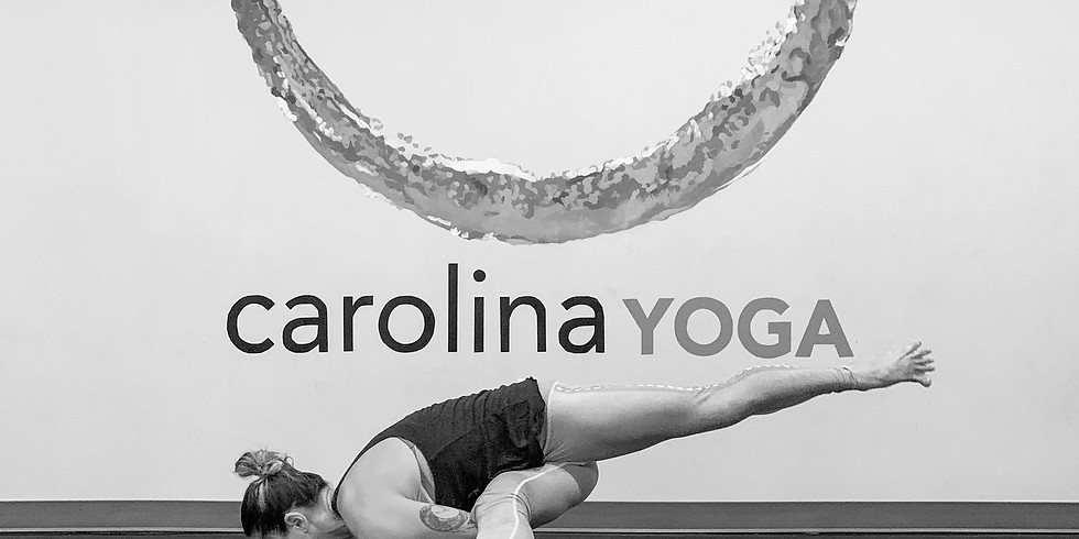 Take Flight-Arm Balancing Series-1of 6- Crow, Crane, & Side Crow