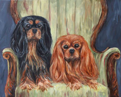 Cavalier King Charles Spaniels