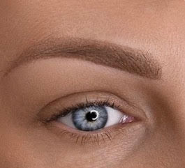 Powder brows close-up – natural shading technique in Guildford