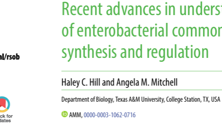 Check out our latest publication!