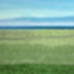 WYOMING GRASSLANDS