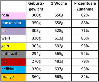 Gewichte1.Woche.jpg