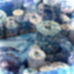 Take Me To The Riverside_close1