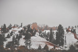 DSC_0138