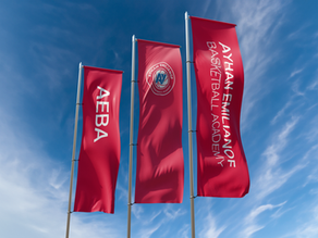 Implementarea brandului AEBA în România pentru următorii 10 ani