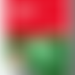 【4/4】温活で変わる身体 ― 筋肉・食事・生活習慣から自然治癒力を引き出す