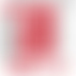 【4/4】心の安定と「ありがとう」の循環：つながりが築く健やかな生活