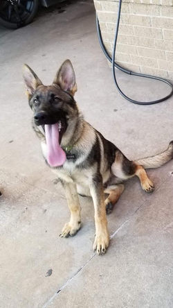 37738892_1958639347533798_19466319720087