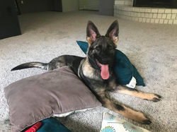 35496545_10100968554467827_7842403685979