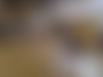 2月【年長】今週の様子