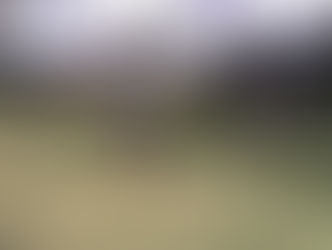 3月【年長】今週の様子