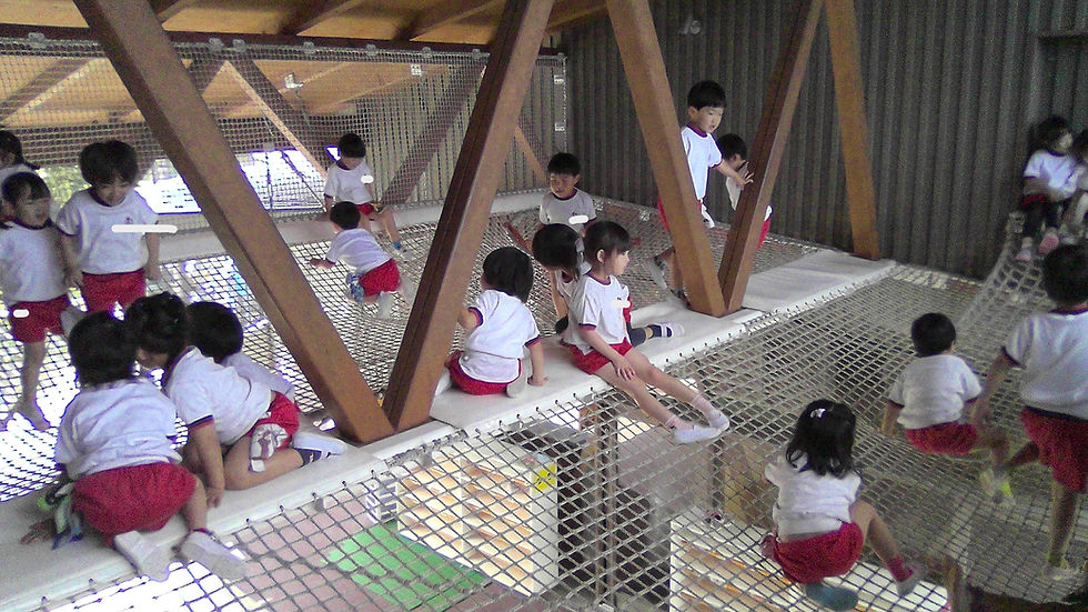 5月【年中】今 週の様子