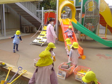 2月【年少々】今週の様子