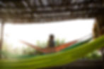 iStock-523884310.jpg