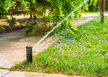 aspersores-automaticos-riego-cesped-cesped-riega-verano-conveniente-hogar-flor-glicina-cae