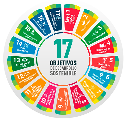 objetivos-del-desarrollo-sostenible-.png