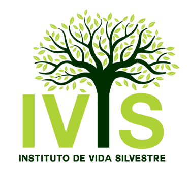 LogoIVIScolores.png