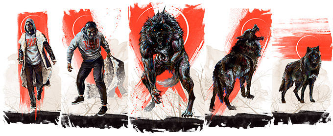 Illustration des cinq formes de transformation des Garous dans Werewolf : L'Apocalypse, de l'apparence humaine à celle du loup.