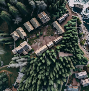 Village forestier disposé en cercle autour d’une clairière, maisons en bois entourées d’arbres denses, idéal pour une carte de jeu de rôle médiévale ou une scène d’exploration.